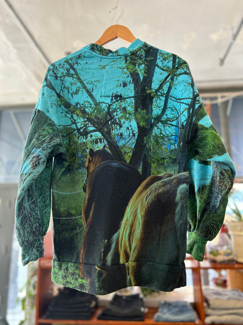 Horse Sweatshirt - Blue
