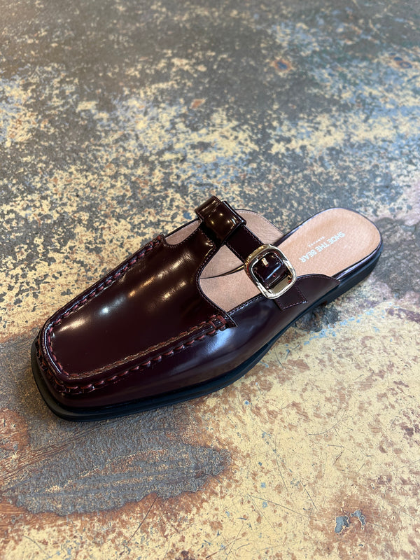 Shoe the bear may 2025 s