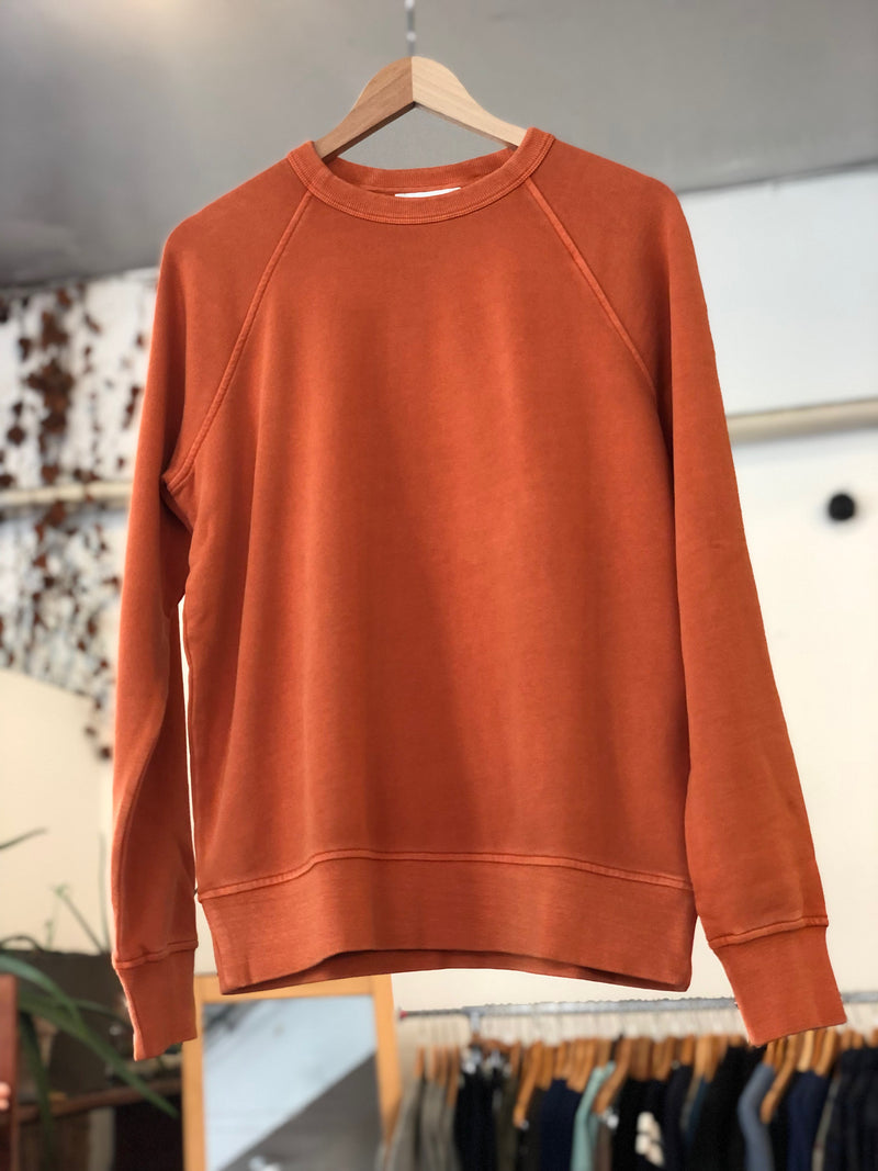 Shrank Sweatshirt